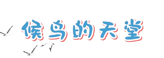 村游东方 | 骑遇四必湾 东方