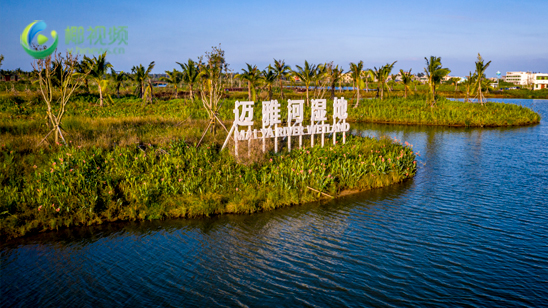 椰视频 | 瞰海南：海口江东区生态新名片 迈雅河区域生态修复项目一期完工